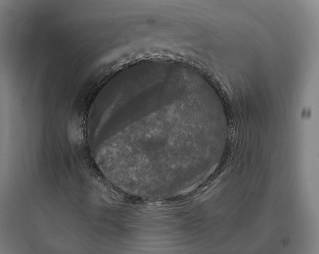 X0000093741490200711061011