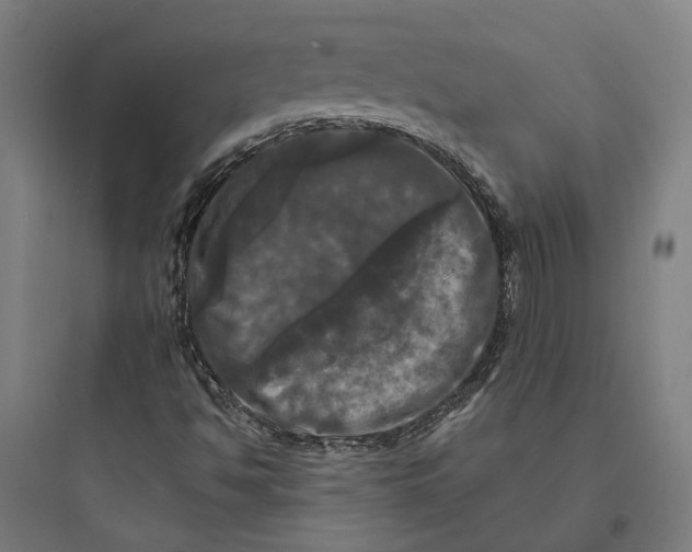 X0000093741494200711061011