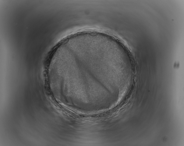 X0000093741496200711061011