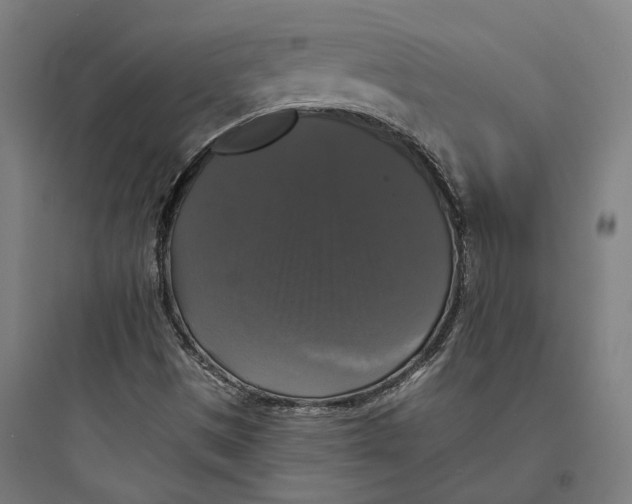 X0000093741497200711061011