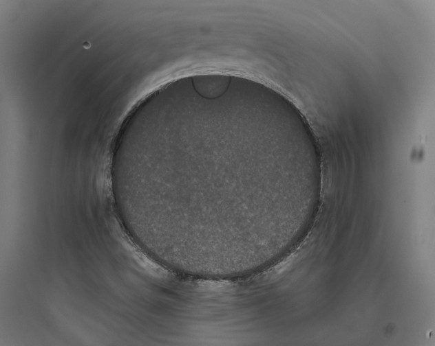 X0000093741498200711061011