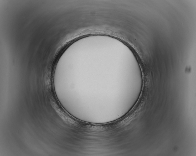 X0000093741499200711061011