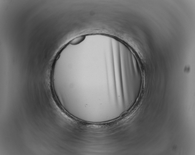 X0000093741500200711061011