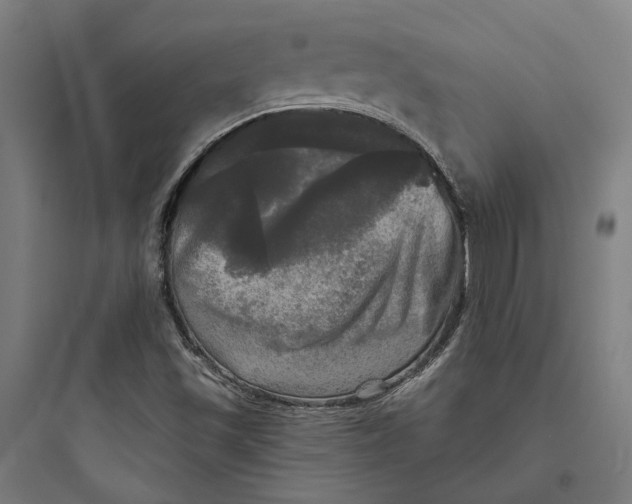 X0000093741501200711061011