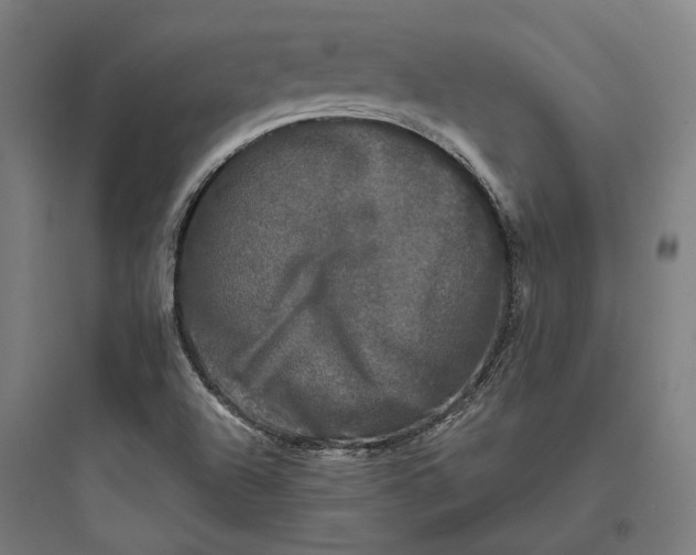 X0000093741504200711061011