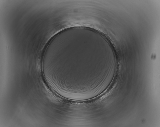 X0000093741505200711061011