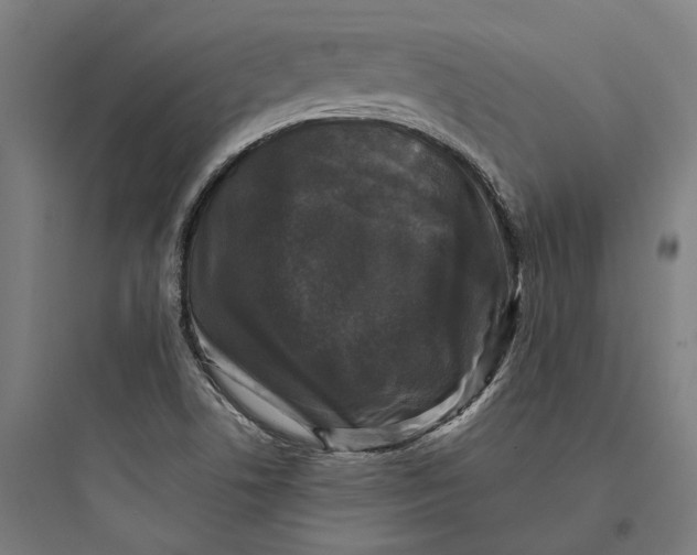 X0000093741506200711061011