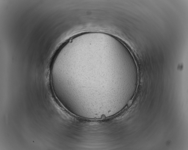 X0000093741507200711061011