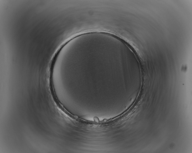 X0000093741508200711061011