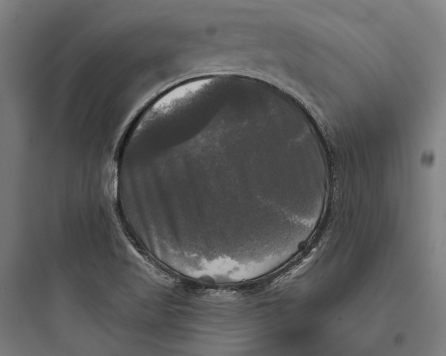 X0000093741509200711061011