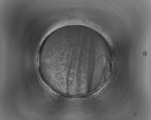 X0000093741510200711061011