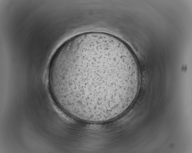 X0000093741511200711061011