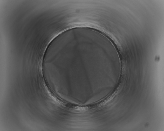 X0000093741513200711061011