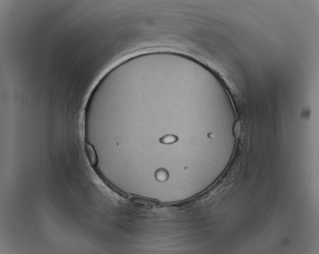 X0000093741516200711061012