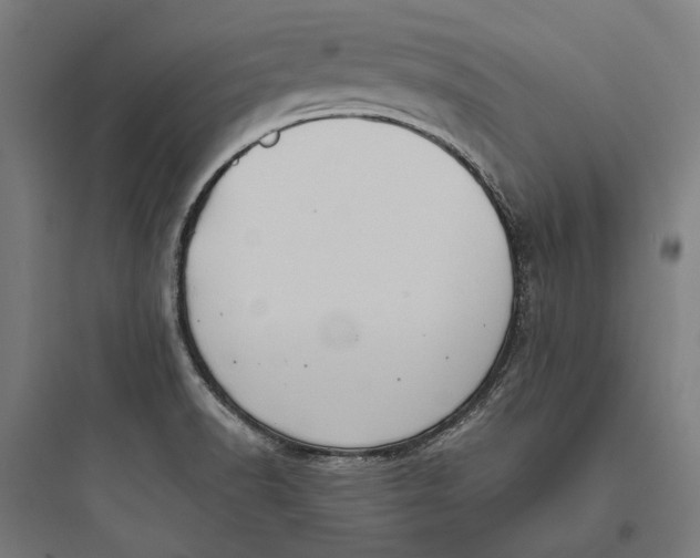 X0000093741518200711061012