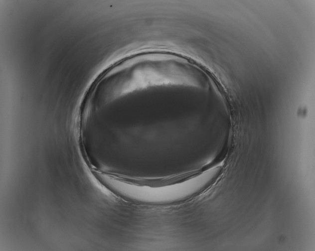 X0000093741519200711061012