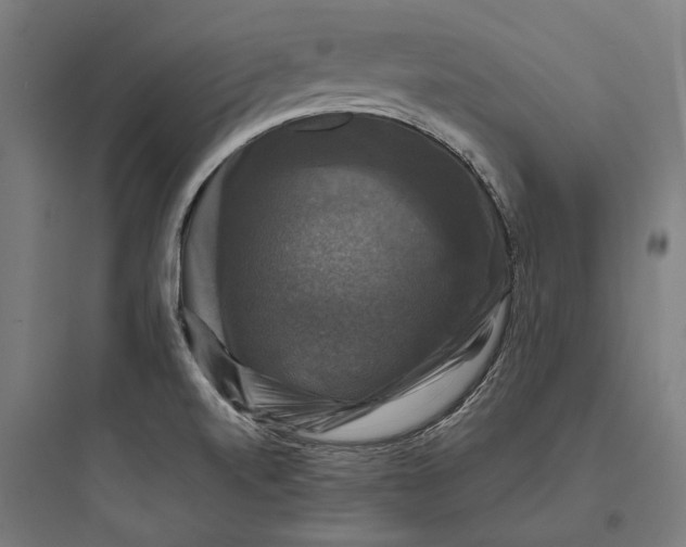 X0000093741520200711061012