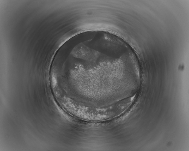 X0000093741521200711061012