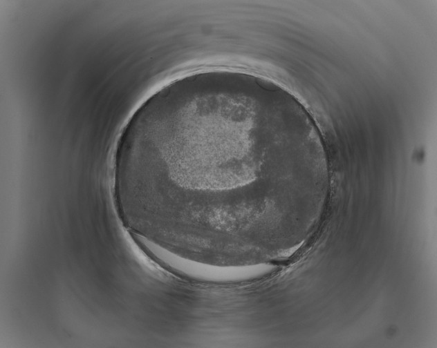 X0000093741523200711061012