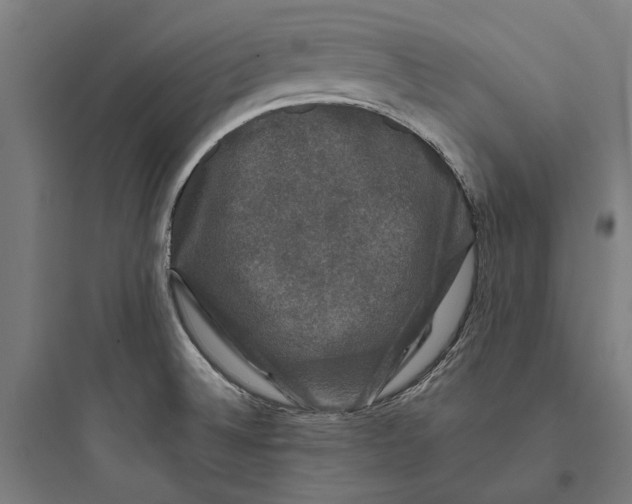 X0000093741524200711061012