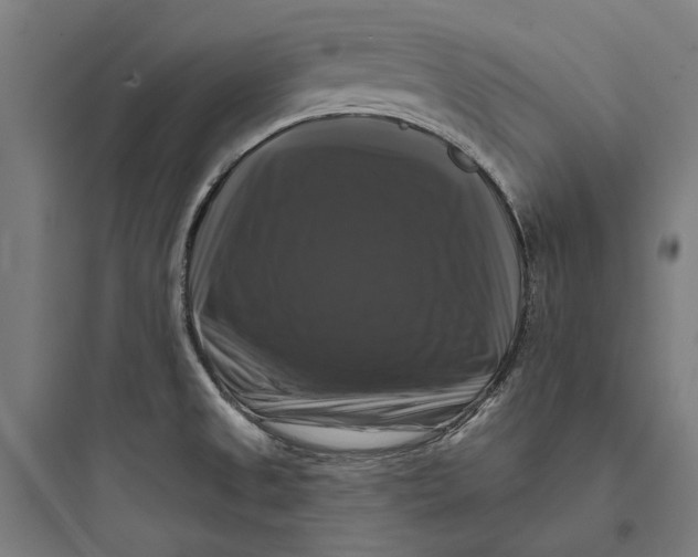 X0000093741525200711061012