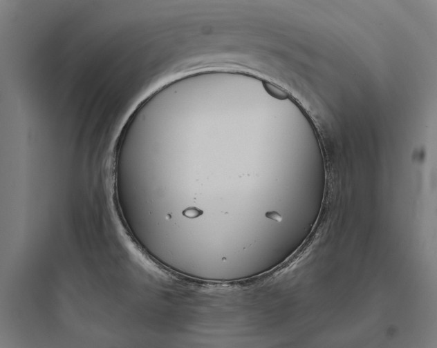 X0000093741526200711061012