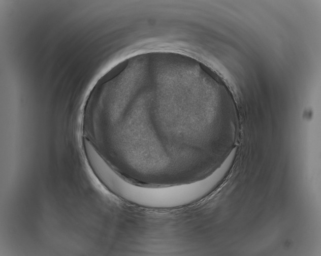 X0000093741528200711061012