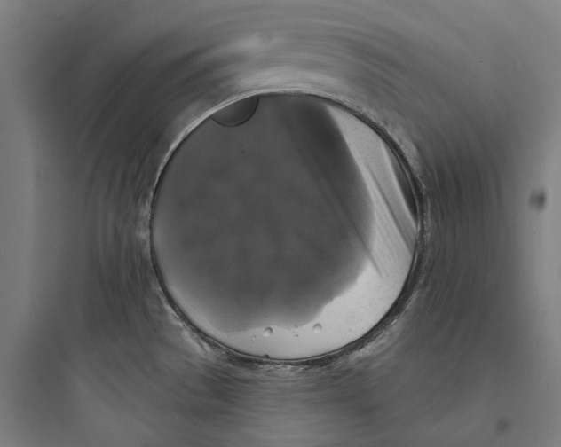 X0000093741529200711061012