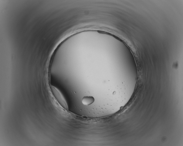 X0000093741530200711061012