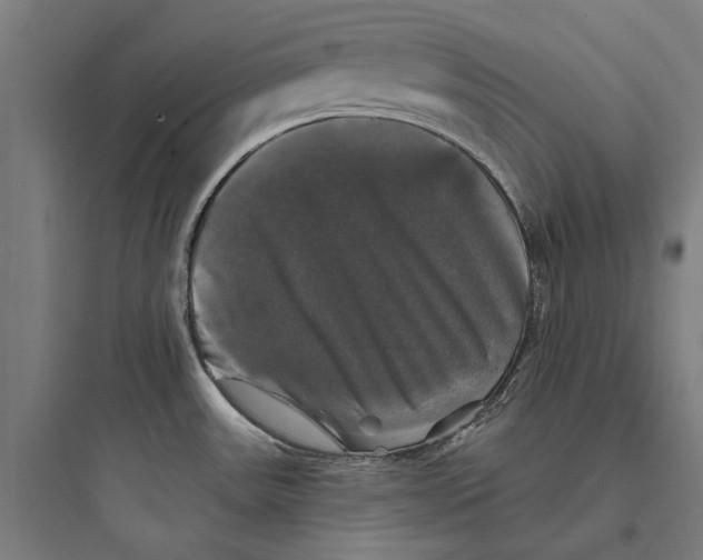 X0000093741531200711061012