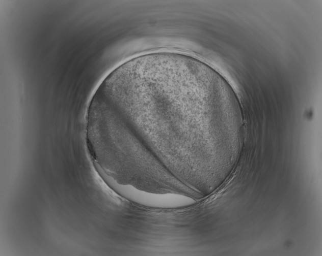 X0000093741532200711061012