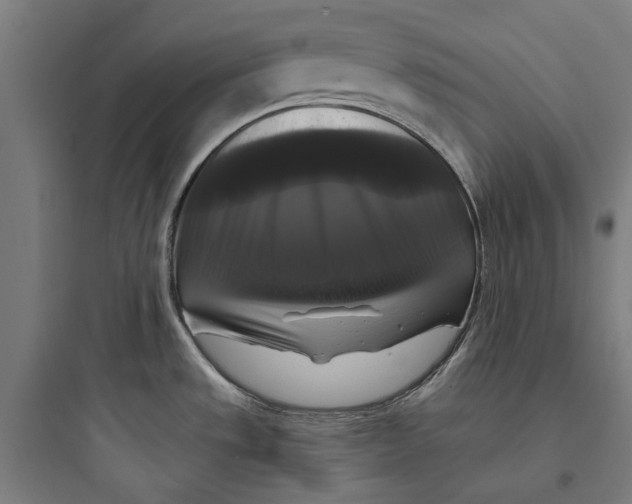 X0000093741533200711061012