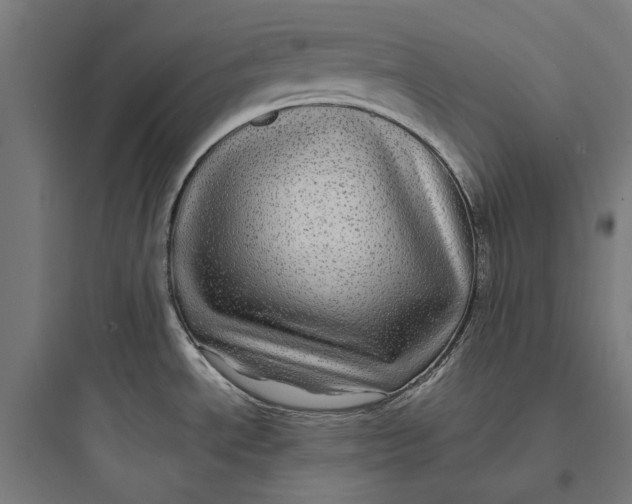 X0000093741534200711061012