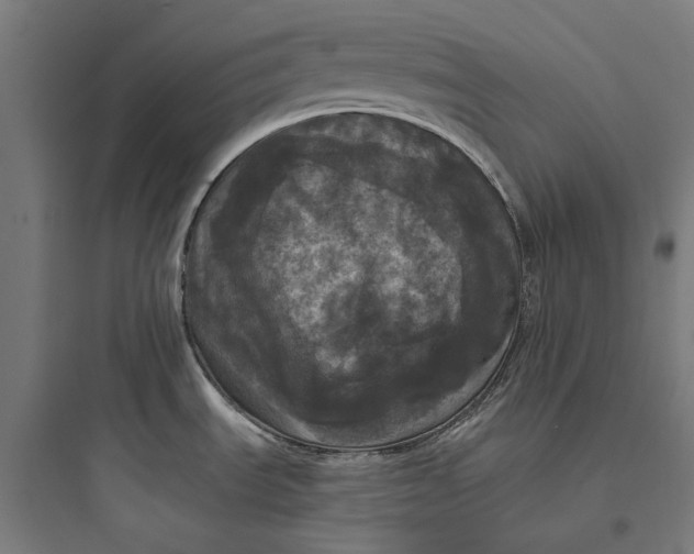 X0000093741535200711061012