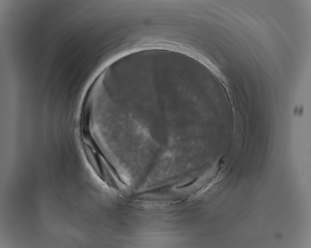 X0000093741536200711061012