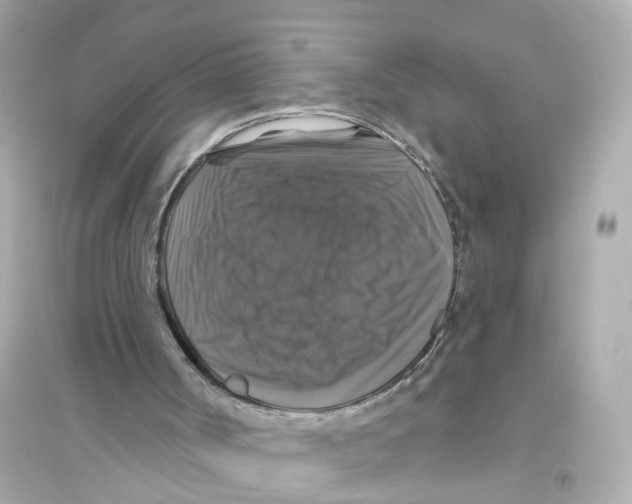 X0000093740002200711131112