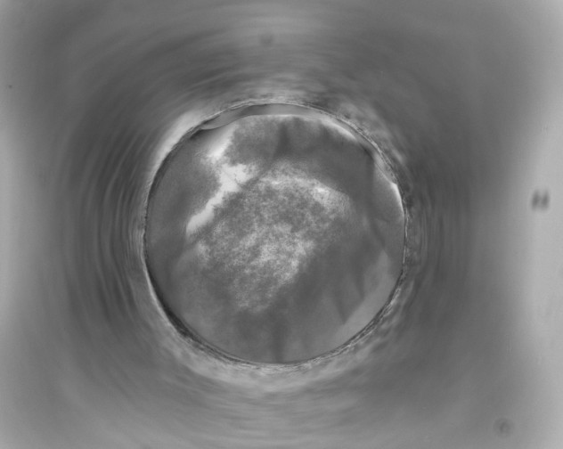 X0000093740003200711131112