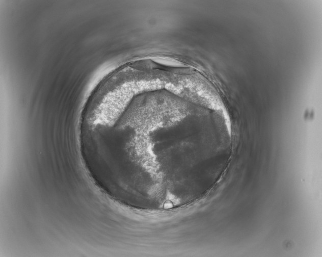 X0000093740006200711131112