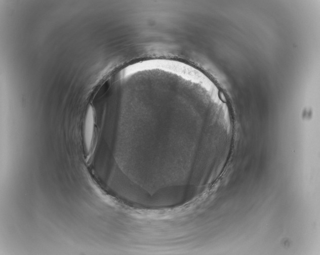 X0000093740009200711131112