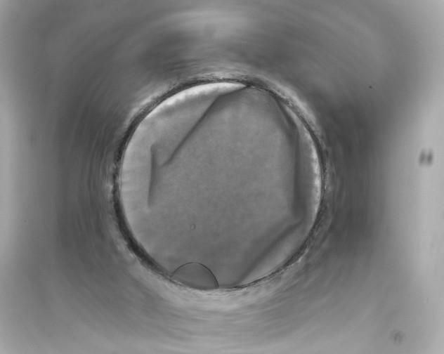 X0000093740010200711131112