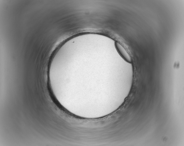 X0000093740011200711131112