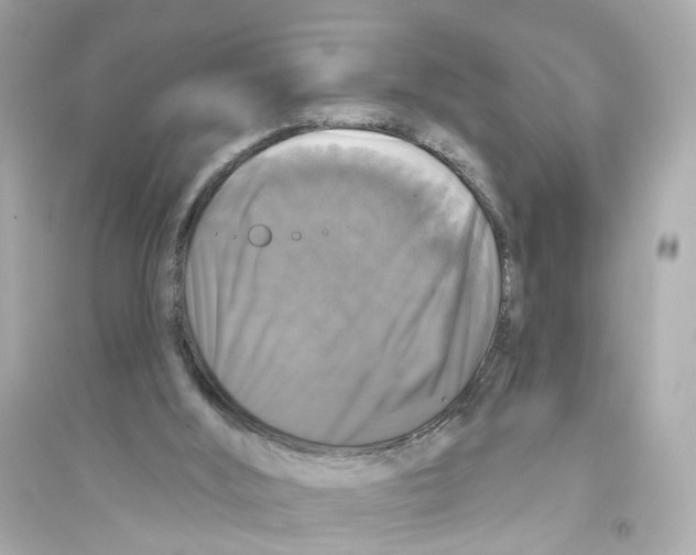 X0000093740012200711131112