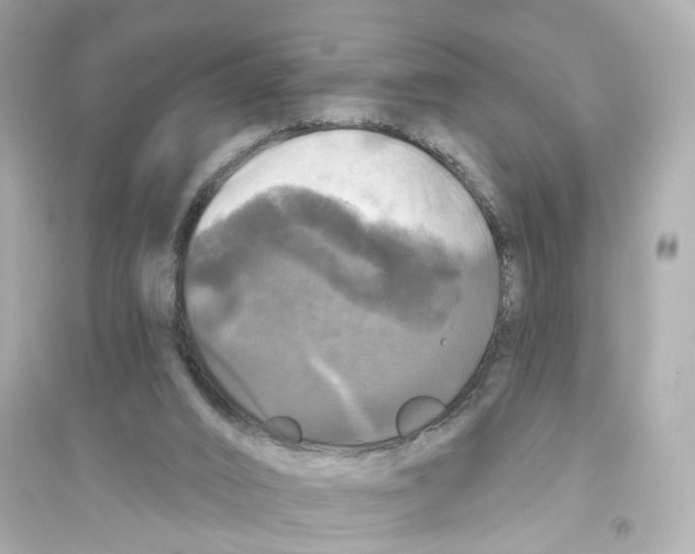 X0000093740016200711131112
