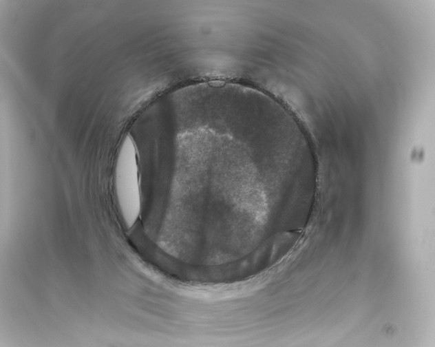 X0000093740017200711131112