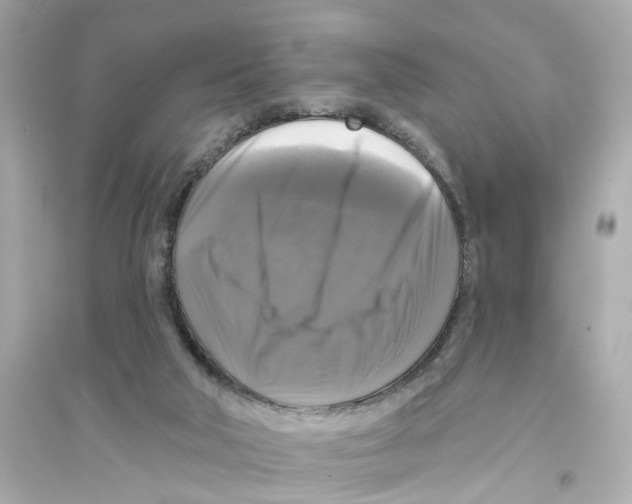 X0000093740018200711131112