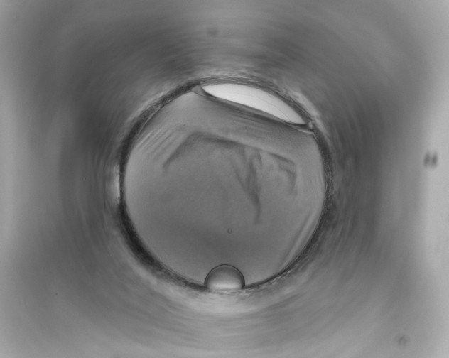 X0000093740020200711131112