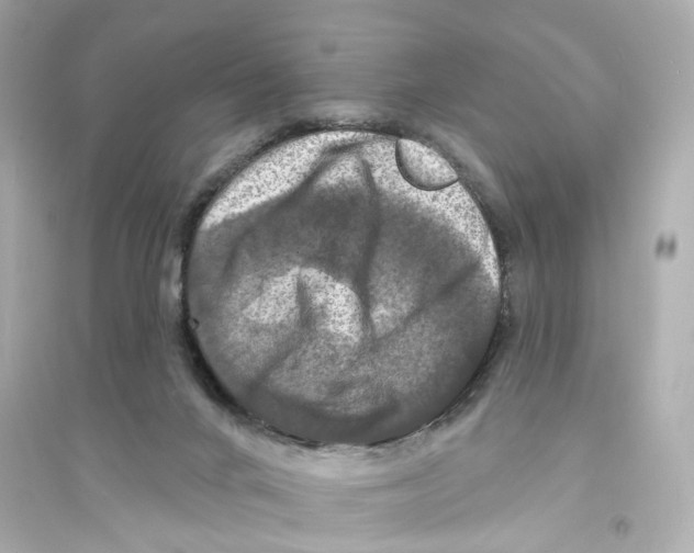 X0000093740024200711131112