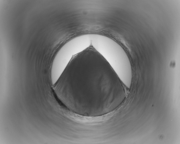 X0000093740027200711131112