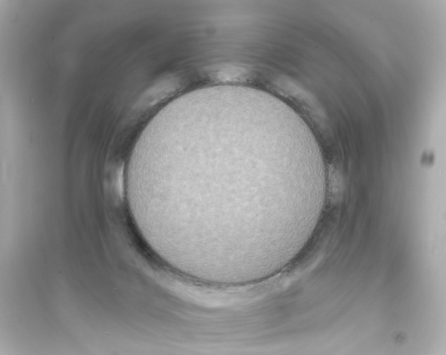 X0000093740028200711131112
