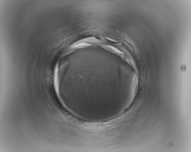 X0000093740029200711131112